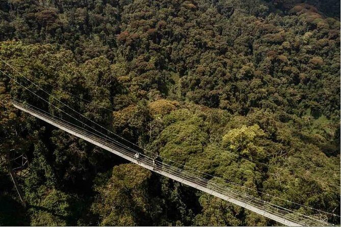 1 Day Canopy Walk Adventure in Nyungwe Forest National Park - Key highlights you’ll feel the moment you arrive