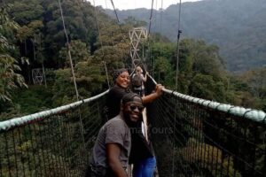 1 Day Canopy Walk Adventure in Nyungwe Forest National Park - Kigali to Nyungwe: the long drive that sets the tone