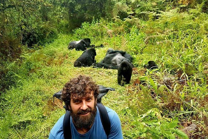 1 Day Gorilla Trekking Uganda - Early-Morning Rwanda to Uganda: Why the 4:00am Start Matters
