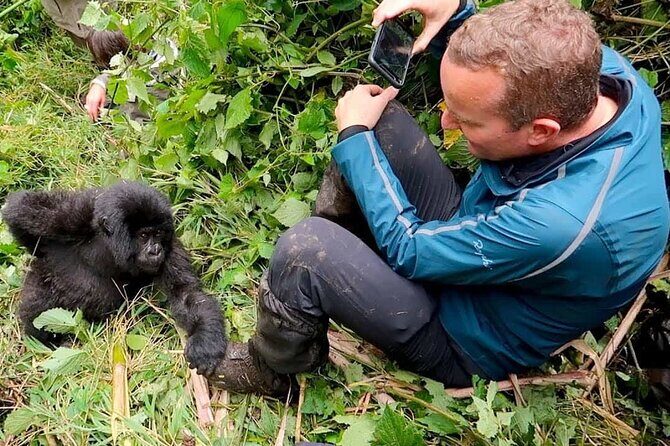 1 Day Rwanda Gorilla Trekking Tour In The Volcanoes National Park - Gorilla trekking timing: how 2–5 hours changes your whole day