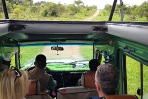 2-Day Akagera National Park Game Drive, Ihema boat trip with a Choice 4x4 - Game drives in Akagera: getting the most from your 4x4