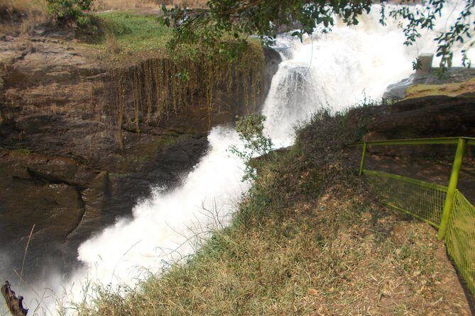 2 Days Murchison Falls Big 5 Savannah wildlife safari - Day 1 at Murchison Falls: upstream boat cruise to Devil’s Cauldron