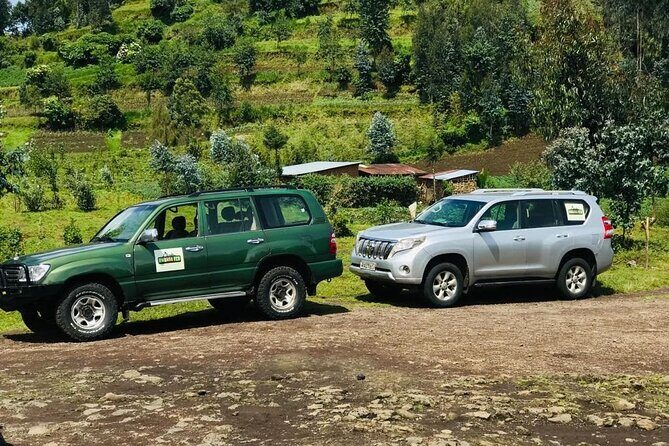 2 days Uganda Gorilla trekking - Best fit: who should choose this Rwanda-to-Uganda gorilla sprint