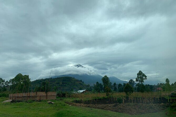 3 Day Gorilla Trek at Bwindi National Park via Kigali - Price and logistics: why the $1,940 midrange tag can still be good value