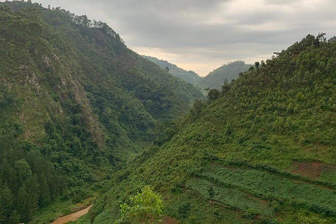 6 Days Rwanda Uganda Budget Wildlife Safari - Who this safari fits best