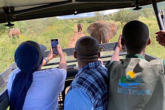 Akagera National Park 1 day Safari Experience - Key things that make this one-day Akagera safari work