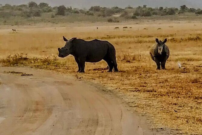 Akagera National Park 1 day Safari Experience - Price and What $229 Really Buys You