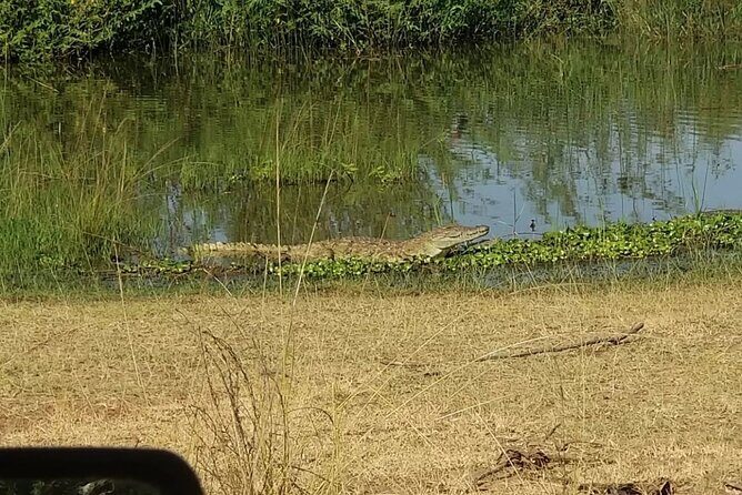 Akagera National Park 1 day Safari Experience - Park Reception Briefing: Safety, Rules, and How the Day Runs