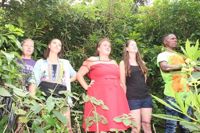 Boat cruise and adventures -Karongi - Key Points I’d Prioritize