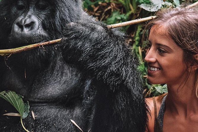 From Kigali: 10 Hour Day-trip Rwanda Gorilla Trekking with Lunch - Kigali to Volcanoes National Park: why the day starts so early
