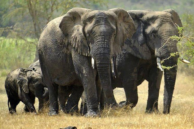 From Kigali: 12 Hour Custom Day trip for game Drive in Akagera NP - Kigali to Akagera in one day: what that trade really buys you