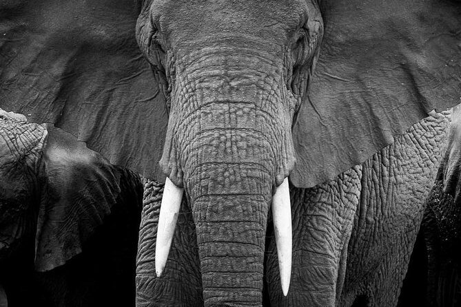 From Kigali: 12 Hour Custom Day trip for game Drive in Akagera NP - Practical tips to make your safari day go smoother