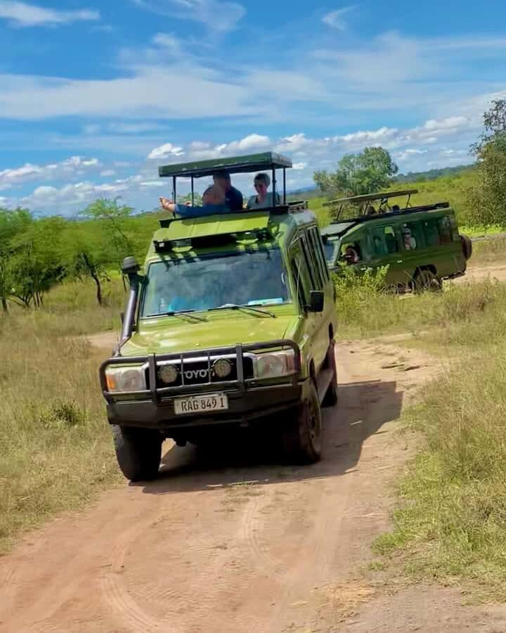 From Kigali: Akagera National Park Safari game drive - Key takeaways before you go