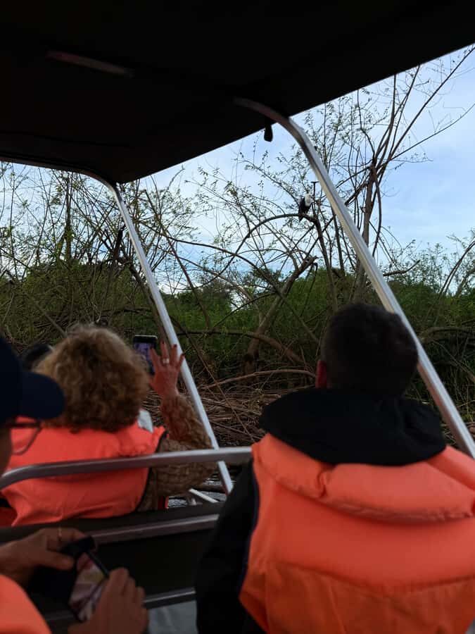 From Kigali: Akagera National Park Safari game drive - Big Five game drive plus the themed tracking twist