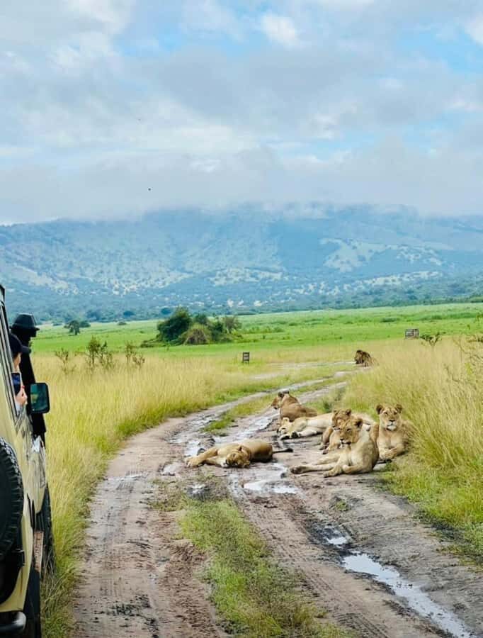 From Kigali: Akagera National Park Safari game drive - Sunset sundowner: sparkling water, snacks, and golden light