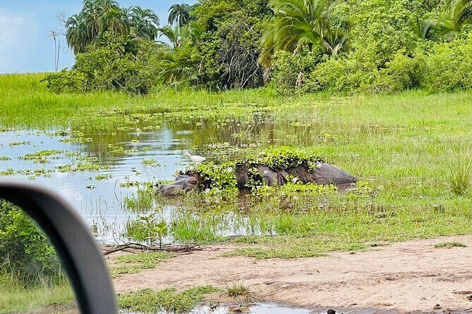 Full Day Akagera National Park Game Drive and Boat Safari - Entering Akagera National Park: registration and a clear start