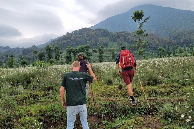 Full day Mt. Bisoke hike - Key highlights