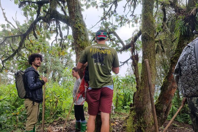 Full day Mt. Bisoke hike - Who This Full-Day Mt. Bisoke Hike Fits Best