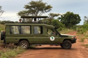Full-Day Private Safari of Akagera National Park with Lunch - The drive to Akagera: expect a long day, plan your body accordingly