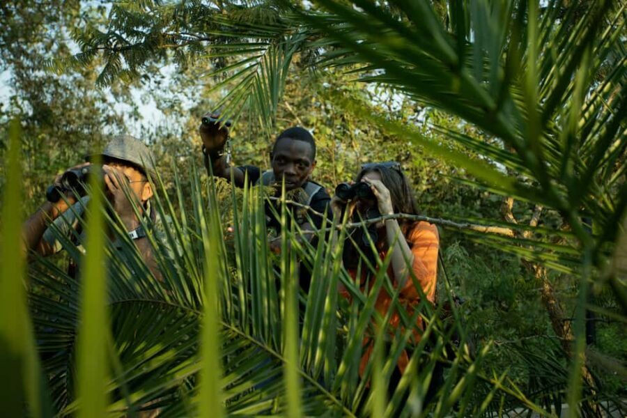 Kigali Eco Park Bird Watching Experience - Forest-to-savannah scanning: what “diverse habitats” means on the ground