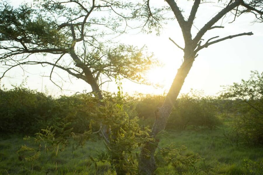 Kigali Eco Park Bird Watching Experience - Binoculars, photos, and the reality of weather
