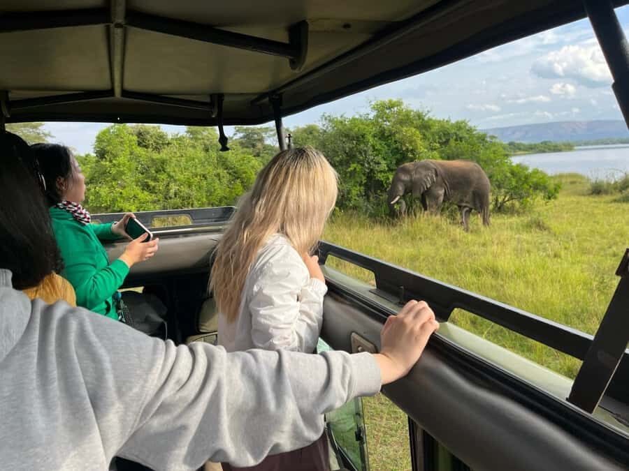 Kigali: Full-Day Akagera Safari + Optional Boat Ride - Key Things I’d Bet On