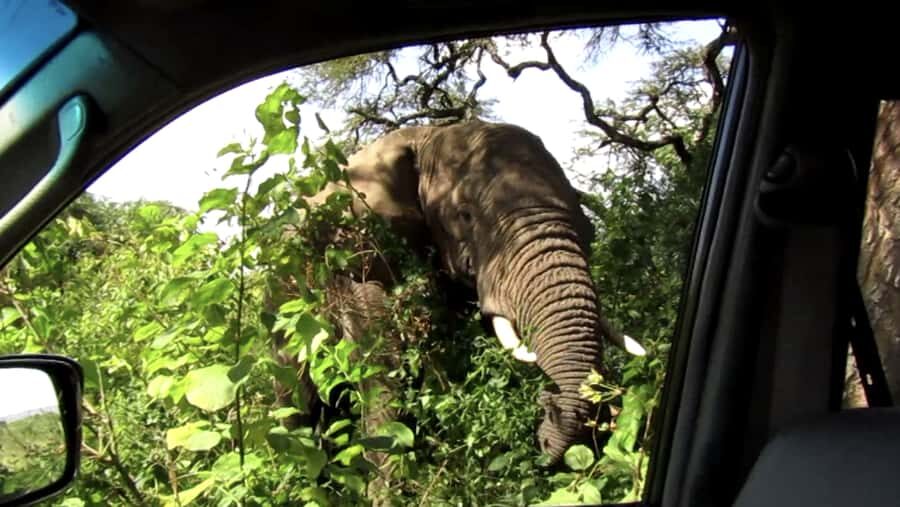Kigali: Full-Day Akagera Safari + Optional Boat Ride - Why the Guide Makes the Difference (and Who People Keep Praising)