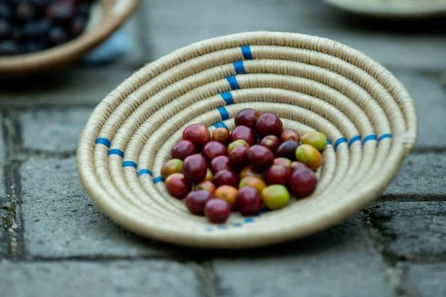 Kigali: Traditional Coffee Experience ( Bean to Brew) - Who should book this Rwanda coffee workshop