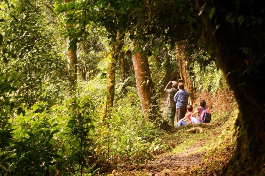Kigali:1 Day Nyungwe Canopy Walk & Waterfall Tour adventure - Kigali to Nyungwe: what you’re really buying