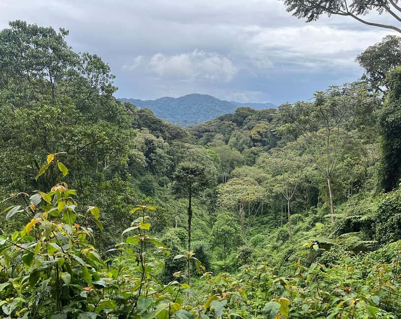 Kigali:1 Day Nyungwe Canopy Walk & Waterfall Tour adventure - Park check-in and briefing: how the guide keeps it meaningful