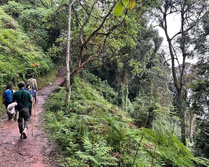 Kigali:1 Day Nyungwe Canopy Walk & Waterfall Tour adventure - Lunch at the park restaurant: rest without losing the day