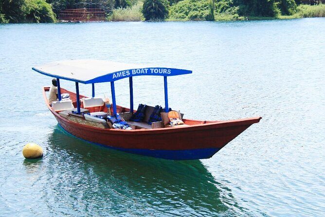 Lake Kivu Boat Trips & Experiences - Coffee tour add-on: taste the region beyond the water