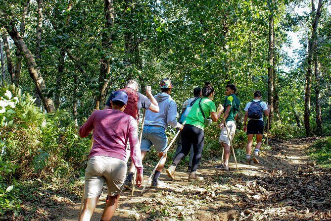 Local hills hiking - Key highlights you’ll feel right away