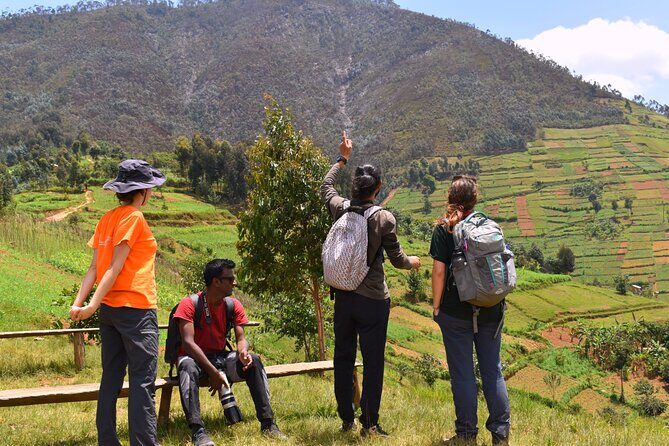 Mount Kabuye Hiking - Key things to know before you go