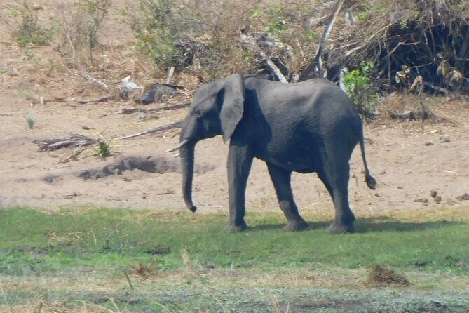 One Day Akagera Safari From Kigali - Lake Ihema for hippos and crocodiles: when the south changes the mood
