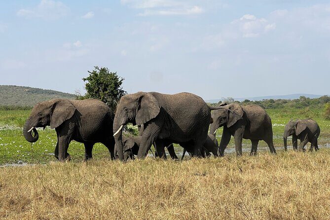 One Day Akagera Wildlife Safari - What to Bring (and What to Skip) for a Smoother Day