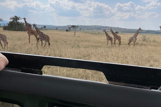 One Day Akagera Wildlife Safari - Private 4x4 Safari With Wi‑Fi, Charging, and a Driver Guide