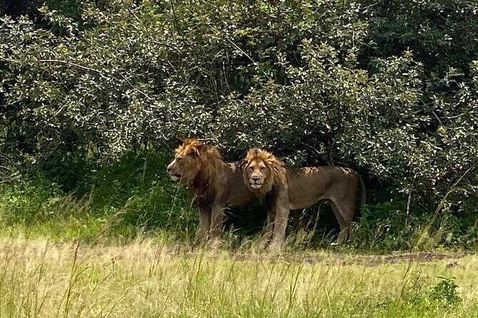 One Day Private Tour to Akagera National Park from Kigali - Market-life break: a taste of everyday Rwanda