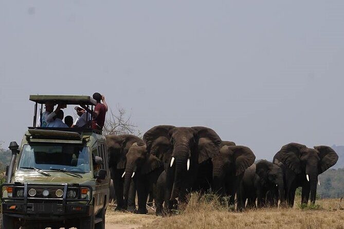 Private Full-Day Tour Akagera Game Drive - Private Akagera Game Drive From Kigali: What Makes It Feel Like a VIP Safari