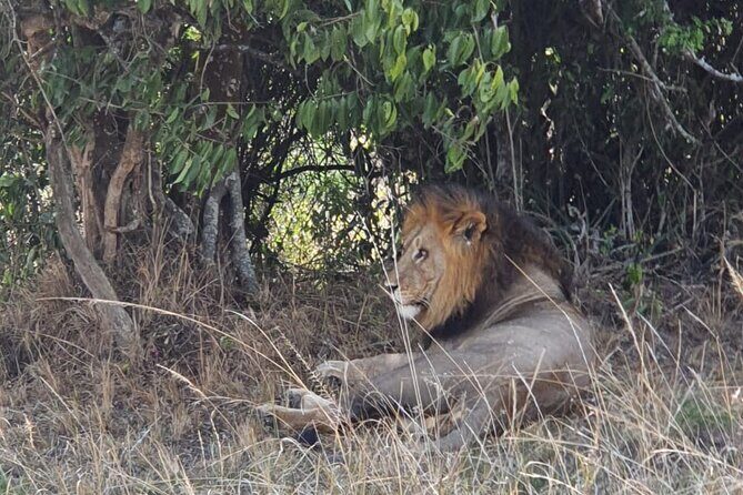 Private Full-Day Tour Akagera Game Drive - Timing, Duration, and Weather: Planning Your Day Without Stress