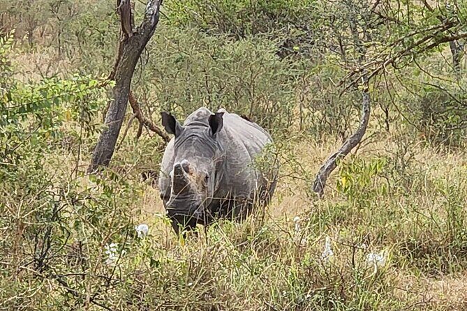 Private Full-Day Tour Akagera Game Drive - FAQ