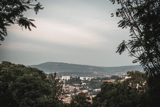 Private Half-Day Guided Kigali City Tour with Coffee Break Included - Private transportation and the $100 value: What you’re really paying for