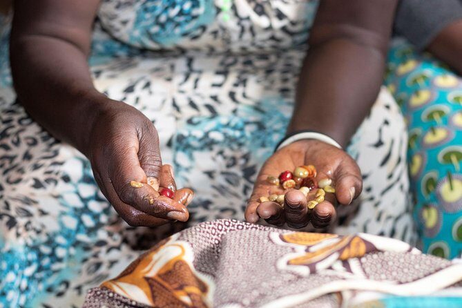 Rwandan Coffee Experience - Price and logistics: what $90 gets you (and what it doesn’t)