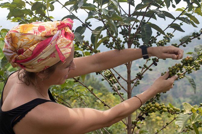 Rwandan Coffee Experience - What the tour feels like in real life