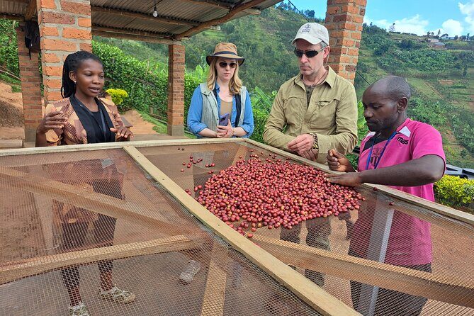 Tea and coffee tours - What you actually do on the farm: harvesting to packaging