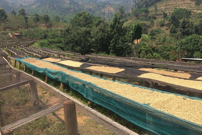 The Amazing Congo Nile Hiking & Biking Trail - Timing and what the day feels like (7:00 am start, ~8 hours)