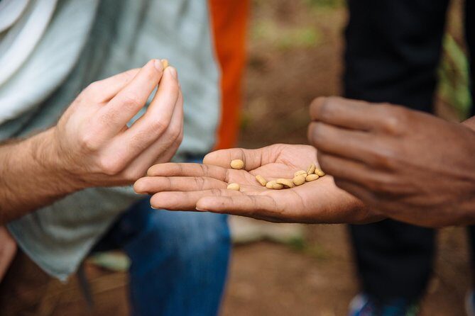Women-led Coffee Farm Trek - Coffee farm trek outside Akagera: seeing the work behind the cup
